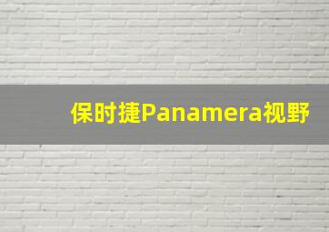 保时捷Panamera视野