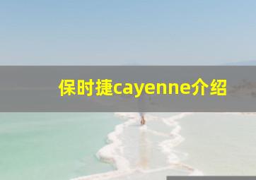 保时捷cayenne介绍