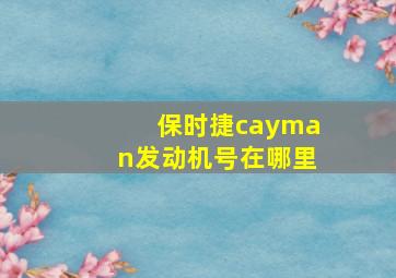 保时捷cayman发动机号在哪里