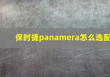 保时捷panamera怎么选配