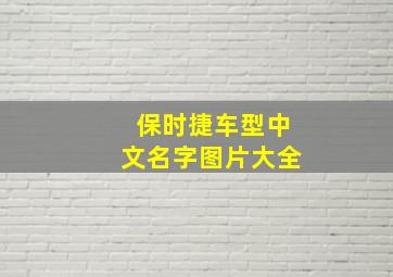 保时捷车型中文名字图片大全