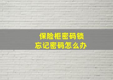 保险柜密码锁忘记密码怎么办