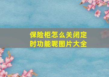 保险柜怎么关闭定时功能呢图片大全