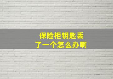 保险柜钥匙丢了一个怎么办啊