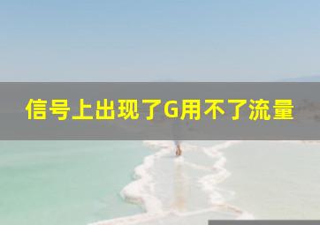 信号上出现了G用不了流量