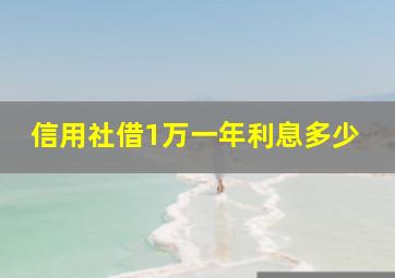 信用社借1万一年利息多少