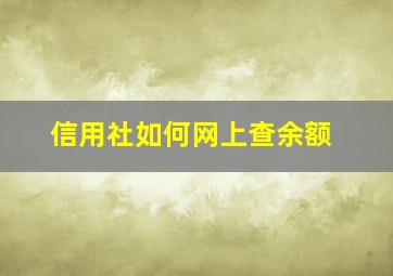 信用社如何网上查余额