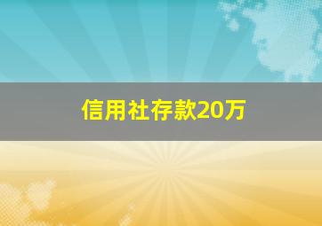 信用社存款20万