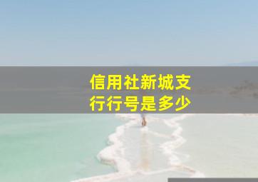 信用社新城支行行号是多少