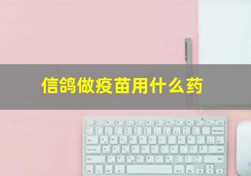 信鸽做疫苗用什么药