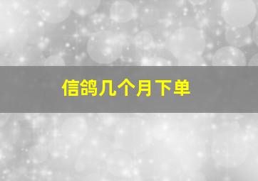 信鸽几个月下单