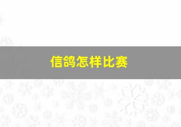 信鸽怎样比赛