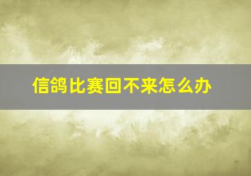 信鸽比赛回不来怎么办