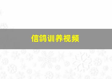 信鸽训养视频