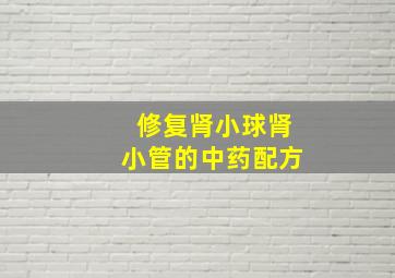 修复肾小球肾小管的中药配方