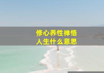 修心养性禅悟人生什么意思