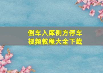 倒车入库侧方停车视频教程大全下载