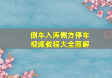 倒车入库侧方停车视频教程大全图解