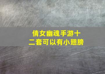 倩女幽魂手游十二套可以有小翅膀