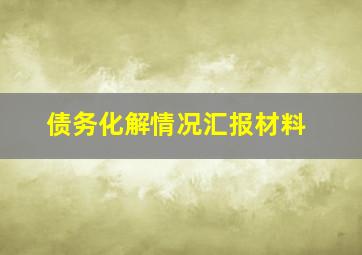 债务化解情况汇报材料