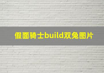 假面骑士build双兔图片