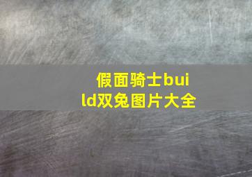 假面骑士build双兔图片大全