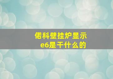 偌科壁挂炉显示e6是干什么的