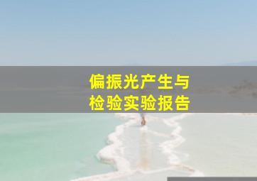 偏振光产生与检验实验报告