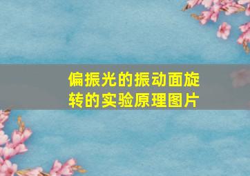 偏振光的振动面旋转的实验原理图片