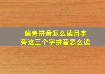 偏旁拼音怎么读月字旁这三个字拼音怎么读