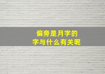 偏旁是月字的字与什么有关呢