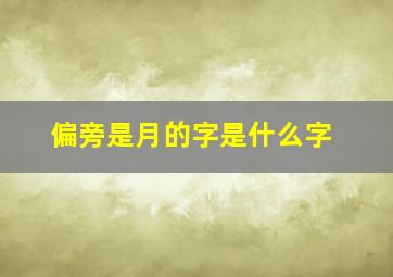 偏旁是月的字是什么字