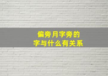 偏旁月字旁的字与什么有关系