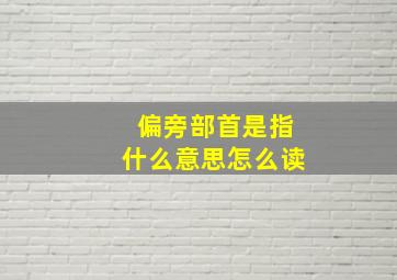 偏旁部首是指什么意思怎么读