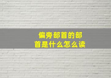 偏旁部首的部首是什么怎么读