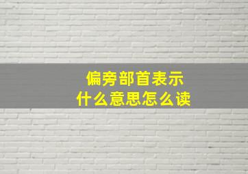 偏旁部首表示什么意思怎么读