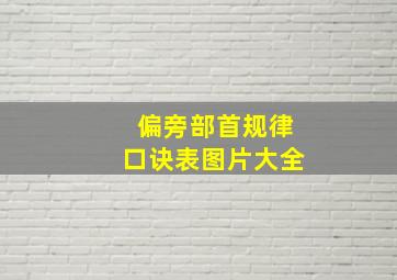 偏旁部首规律口诀表图片大全