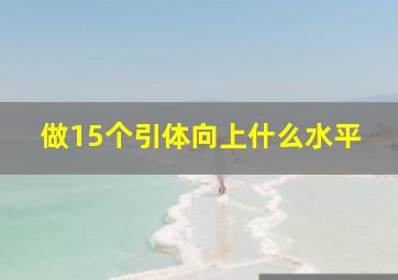 做15个引体向上什么水平