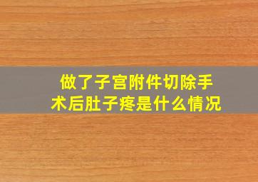 做了子宫附件切除手术后肚子疼是什么情况