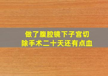 做了腹腔镜下子宫切除手术二十天还有点血