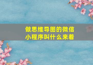 做思维导图的微信小程序叫什么来着