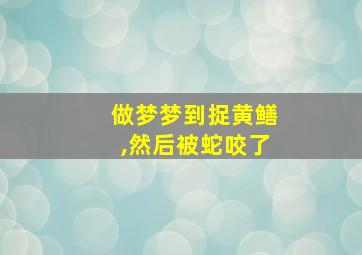 做梦梦到捉黄鳝,然后被蛇咬了