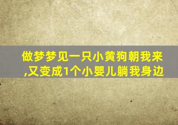 做梦梦见一只小黄狗朝我来,又变成1个小婴儿躺我身边