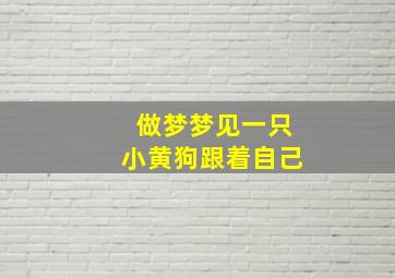 做梦梦见一只小黄狗跟着自己