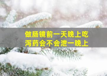 做肠镜前一天晚上吃泻药会不会泄一晚上