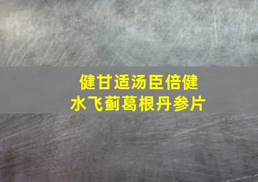 健甘适汤臣倍健水飞蓟葛根丹参片