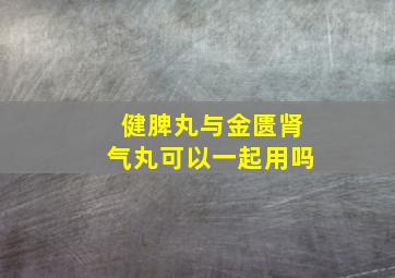 健脾丸与金匮肾气丸可以一起用吗