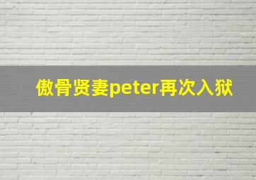 傲骨贤妻peter再次入狱