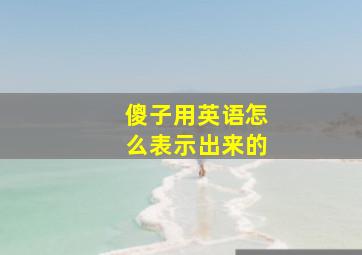 傻子用英语怎么表示出来的