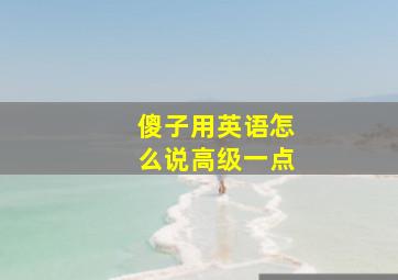 傻子用英语怎么说高级一点